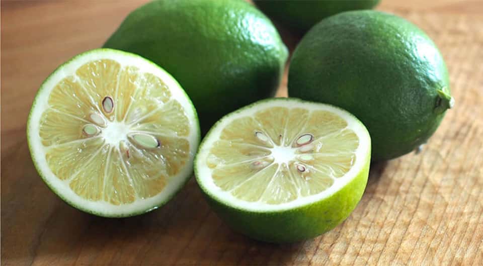 無農薬レモン 背景