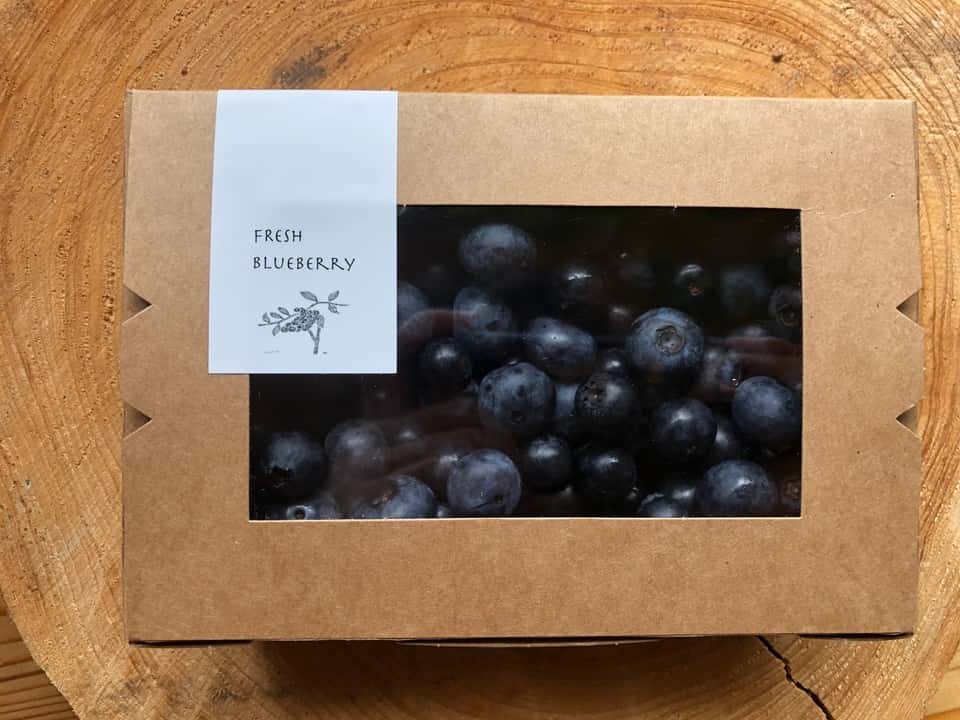 果物ギフト 背景