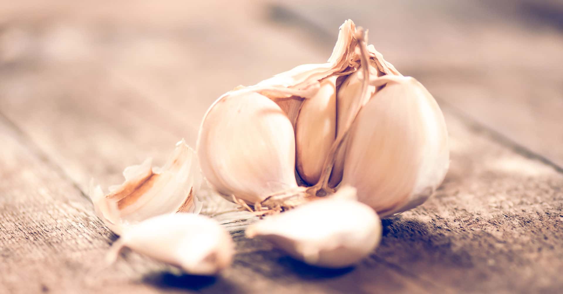 にんにく 背景