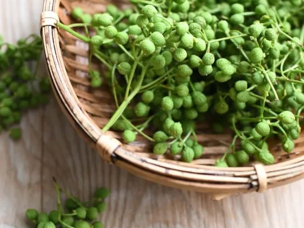 健康食品ギフト 背景