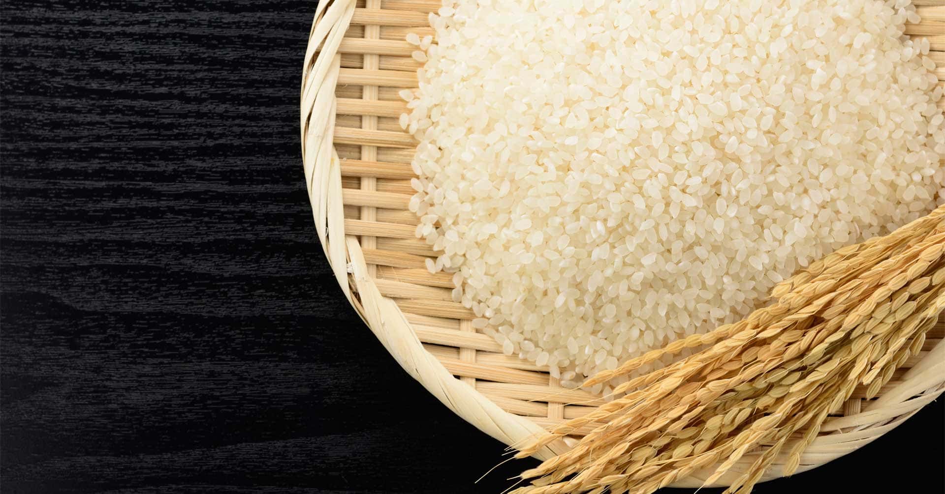 令和7年度産 無農薬米 背景