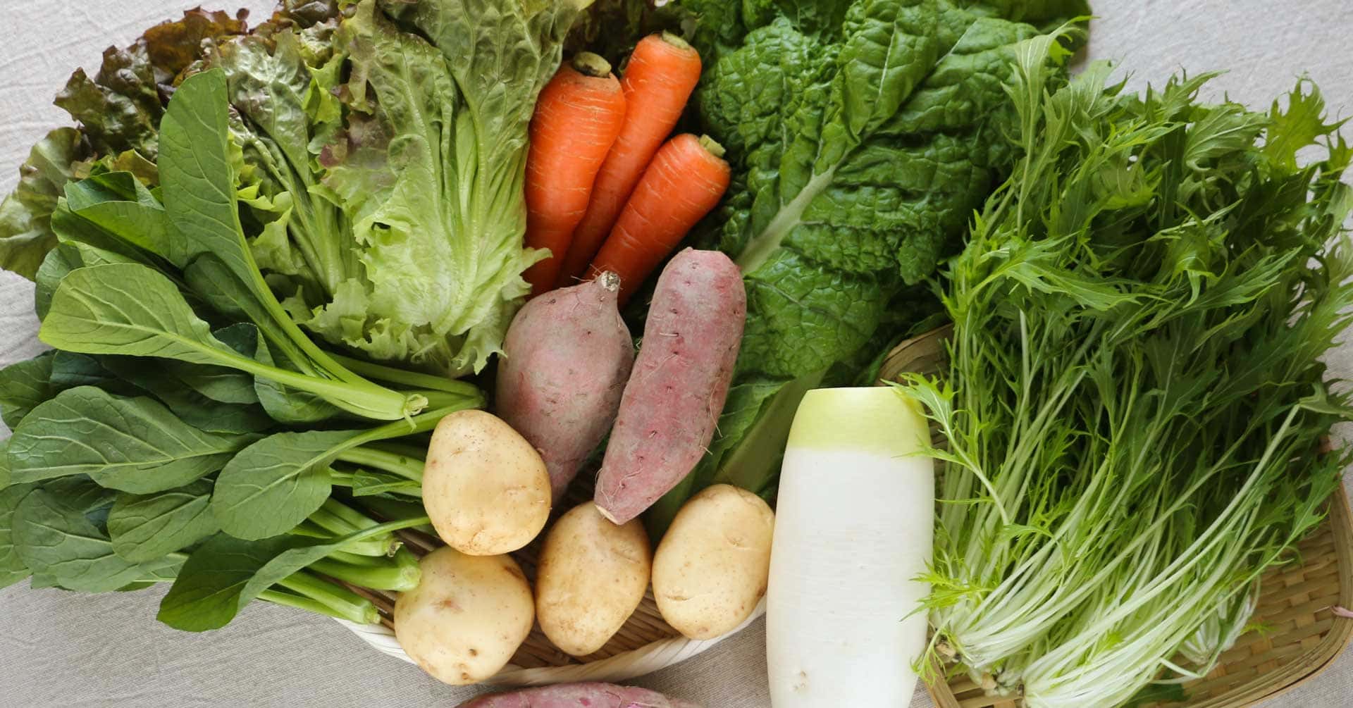 からだを整える食材 背景