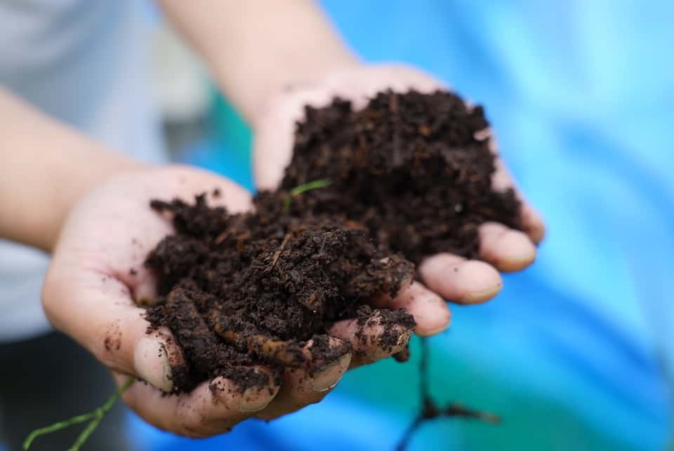 環境に優しい農法 背景