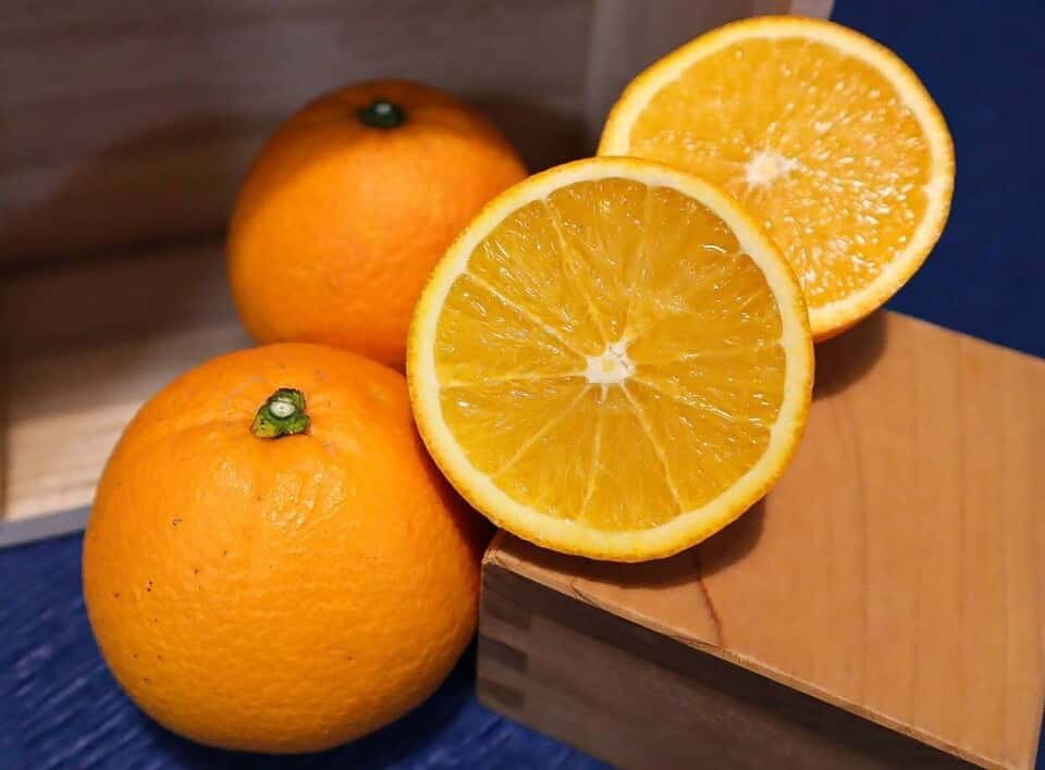 季節のフルーツ 背景