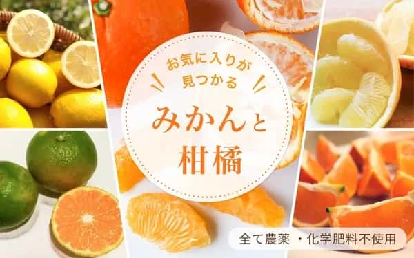 みかんと柑橘