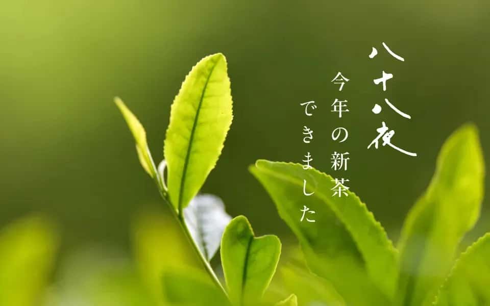 新茶