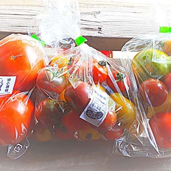 《2025終了》無農薬とまといろいろ