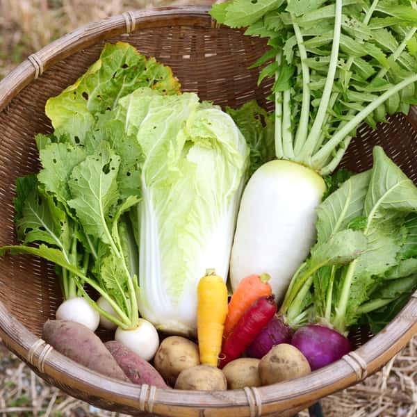 草の堆肥と雨水だけの自然栽培で育てた旬の固定種野菜セット【農薬不使用・無肥料】