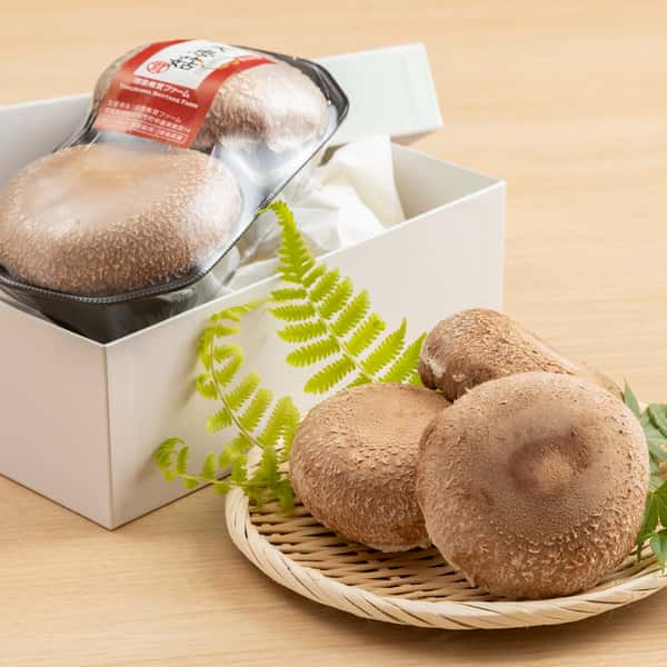 徳島県産希少種の肉厚椎茸＜天恵菇＞農薬化学肥料不使用・ギフトやお裾分けにも◎