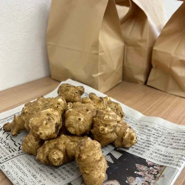 【自然栽培・菊芋】無農薬・無肥料／食用・種用にもできるスーパーフード／千葉県九十九里産