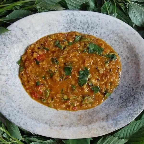 無添加・無農薬＜千葉県産モロヘイヤのダールカレー（Veg）＞赤レンズ豆のやさしいとろみとスパイスの香り