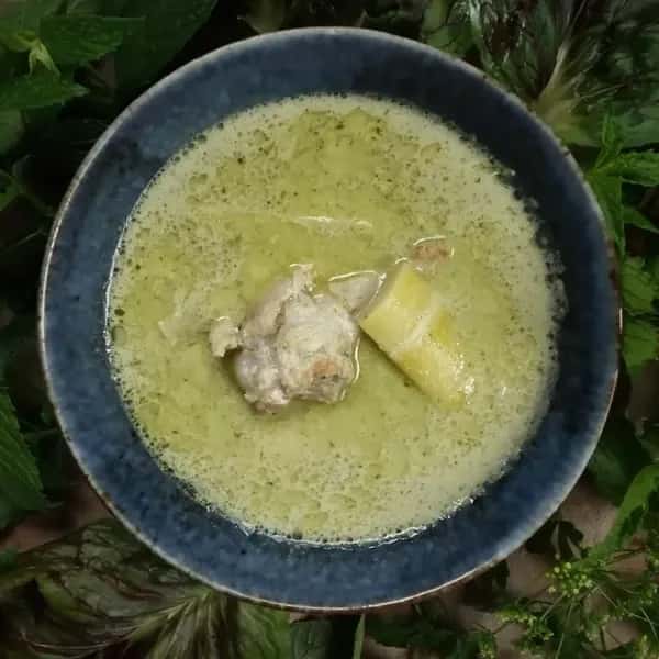 無農薬白子町産新玉ねぎ・新にんにく使用＜筍とチキンのグリーンカレー＞自家栽培ハーブ香る一皿