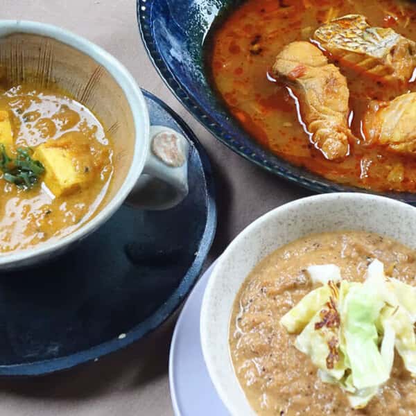 週1ごほうび＜旬のカレーセット＞素材の味を楽しむ！野菜or肉のみなど選べるトッキの特製スパイスカレー詰め合わせ