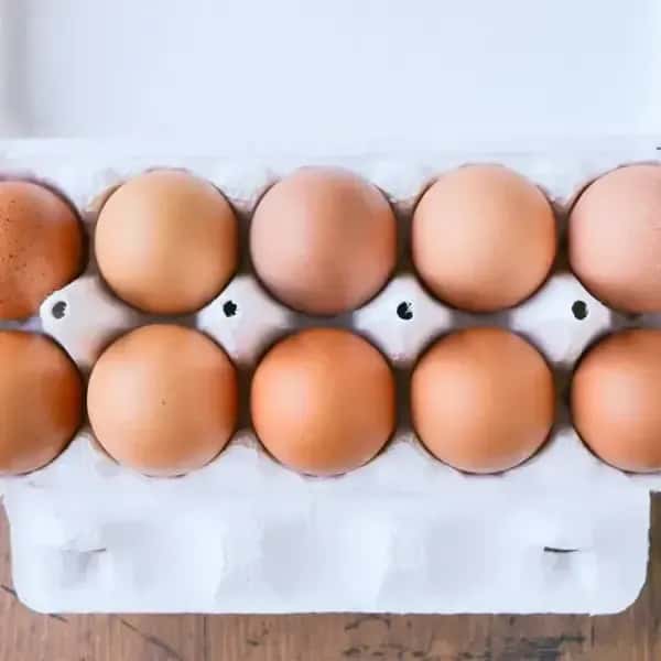 【大寒卵】千葉・鴨川の里山で育てた＜有精卵＞さっぱりしていてコクがある卵