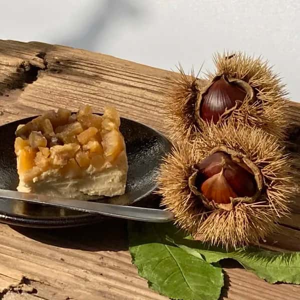 グルテンフリーの無添加ケーキ　栗とチーズ