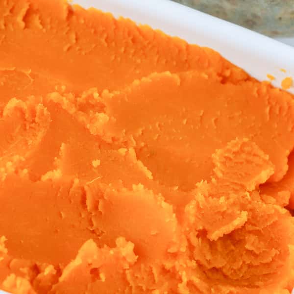 自然栽培かぼちゃで作る＜無添加かぼちゃペースト＞冷凍