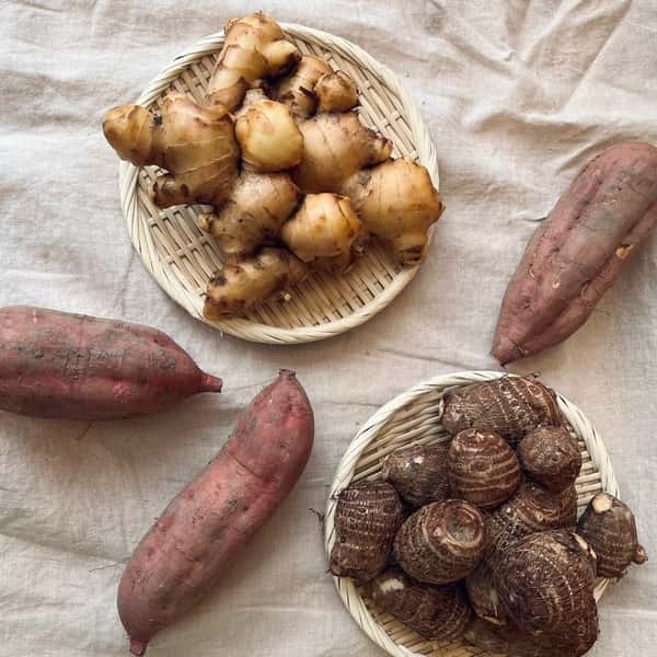 自然栽培・根菜・3種セット