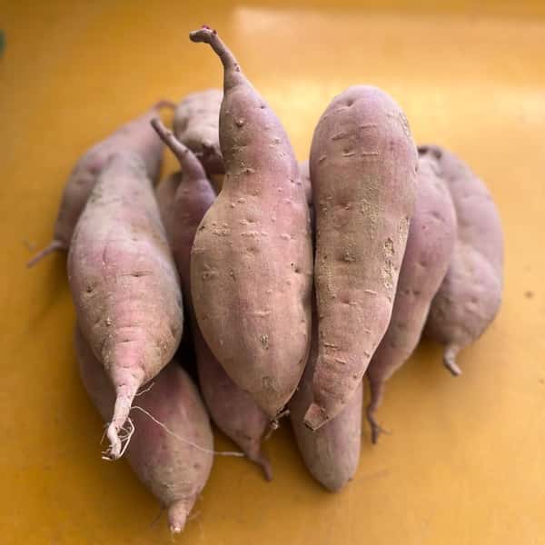 自然栽培【サイズ選べます】紅はるか 2キロ