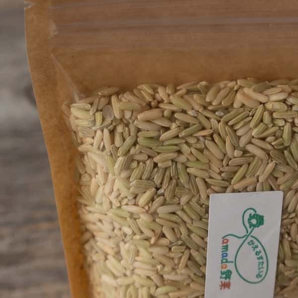 【白米】タイのもち米（カオニャオ）令和6年産（無農薬・無肥料）