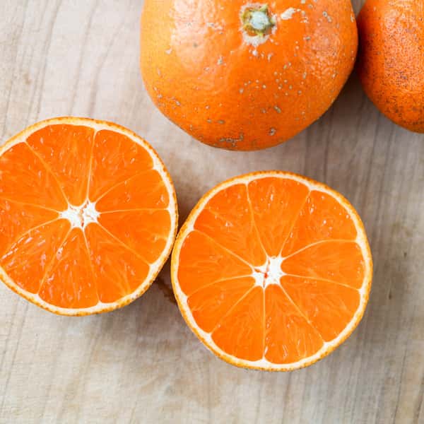 農薬不使用八女茶で育てた濃厚なやまんたみかん5kg