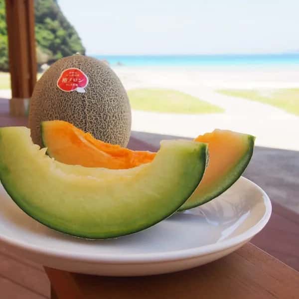 【限定先行予約】農薬・化学肥料を使用せずに栽培　椿メロンセット