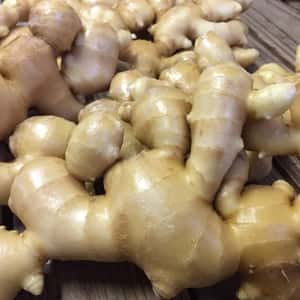 農薬不使用 生姜　レシピ付き「生姜シゴトはじめませんか」