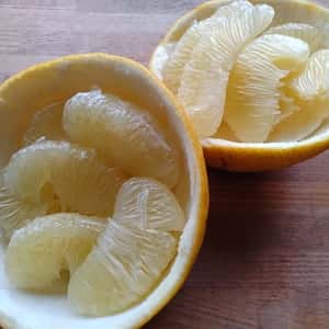 高知特産　土佐文旦【農薬・化学肥料 不使用】