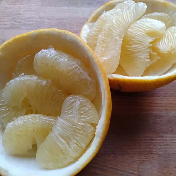 高知特産　土佐文旦【農薬・化学肥料 不使用】