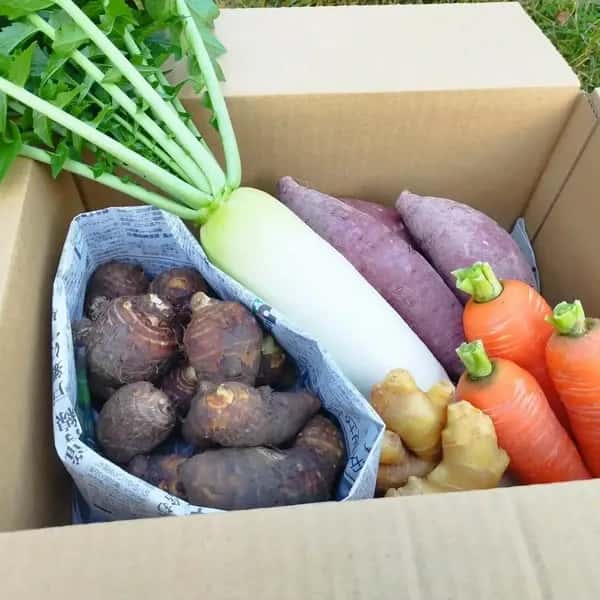 お正月お野菜セット【農薬・化学肥料 不使用】