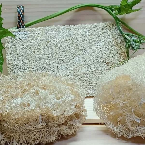 手作り＜有機へちまキッチン用たわし＞3点セット