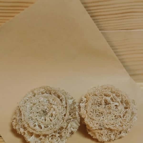 へちまコロコロたわし２個