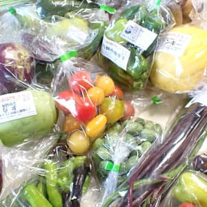 【定期購入】 シードマイスターが作る無農薬季節の変わり野菜セット の口コミ・レビュー(スケさん)