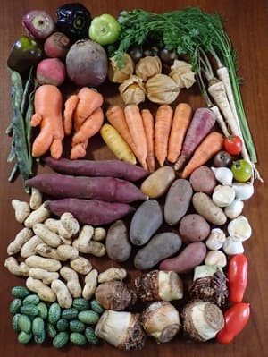 おいしい野菜てんこ盛りの画像 1