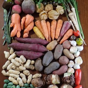 【定期購入】 シードマイスターが作る無農薬季節の変わり野菜セット の口コミ・レビュー(スケさん)