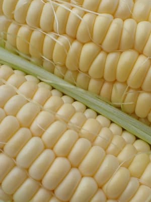 おいしいスープができました🌽の画像 1