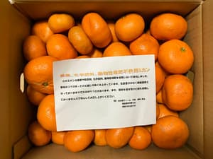 ジューシー☆の画像 1