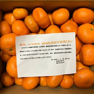 訳ありみかん10Kgの口コミ・レビュー(クローバーさん)