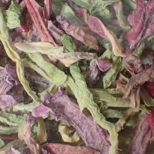 自然栽培のドライラディッシュの口コミ・レビュー(スケさん)