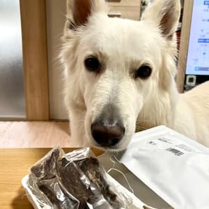 PET用ヒューマングレードペットフード HORSE JERKY ［馬肉ジャーキー］の口コミ・レビュー(M.Nさん)