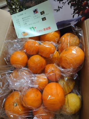 どれから食べようかの画像 1