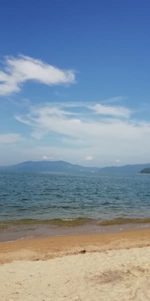 御礼に贈りました。の画像 1