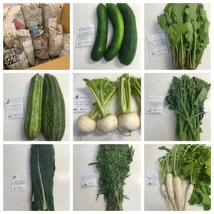 愛情のこもったお野菜をありがとうございました。の画像 1