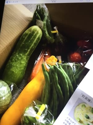 農園くさむらさんのお野菜の画像 2