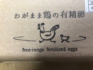 ありがとうございますの画像 1