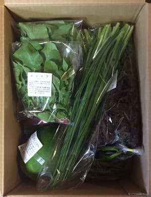 無農薬・無化学肥料らしい透明感のある味の野菜セットの画像 1