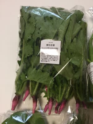 無農薬・無化学肥料らしい透明感のある味の野菜セットの画像 3