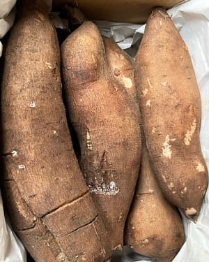 ヤーコン届きました☆の画像 1