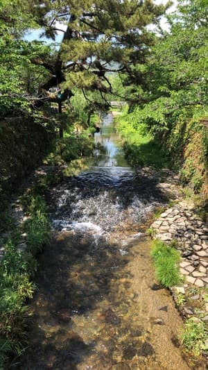 ありがとうございますの画像 1