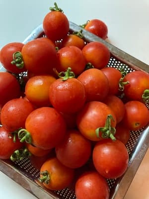 ありがとうございました❣️の画像 1