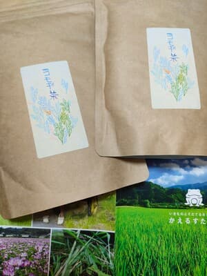 ヨモギ茶の画像 1